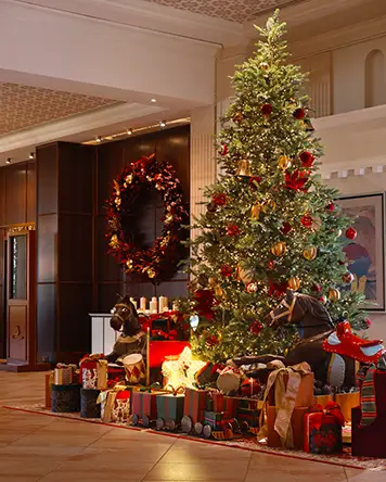Christmas Promo